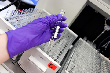 checking the samples 2