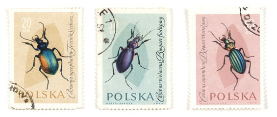 bugs and insects on postage stamps