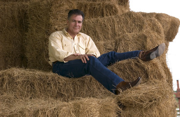Naklejka na ściany i meble relaxing on the hay