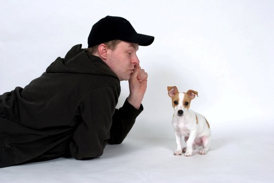 playing with puppy