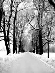 sunrise in salzburg, austria, greyscale