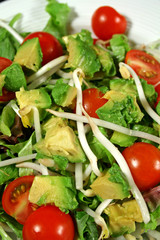 avocado and bean sprout salad