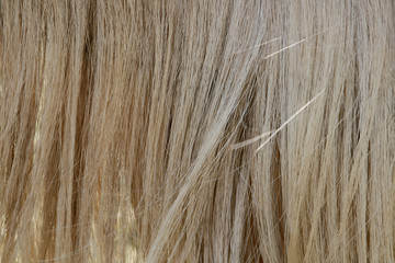 hair texture