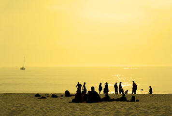 people in the beach