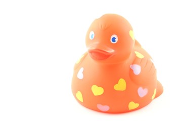 rubber duck