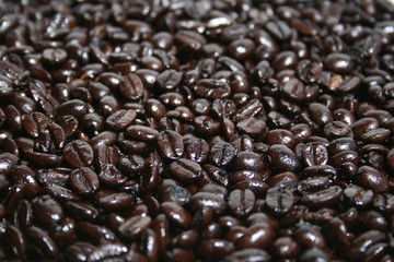 coffee beans