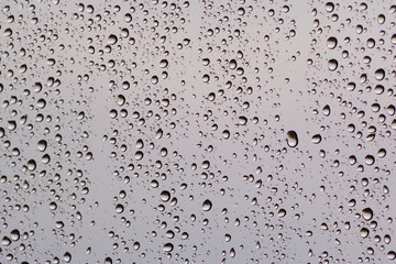 rain drops