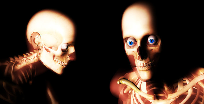 human bones 96
