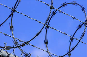 concept of peace and war