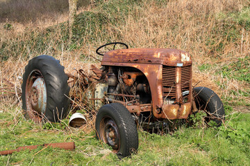Obraz premium old rusty abandoned farm tractor.