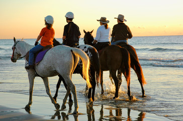 excercising horses at daybreak along the beach - 2843789