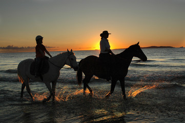 horses excercising at daybreak on the beach