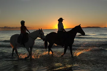 Fotobehang Paardrijden horses excercising at daybreak on the beach