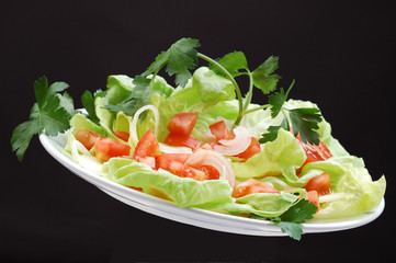 vegetarian salad