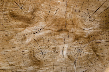 wood pattern