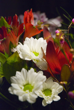 bouquet de fleurs