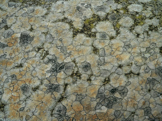 rock texture