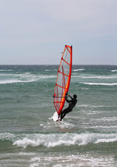 windsurf portrait