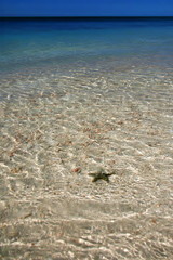 caribic selection cuba iv