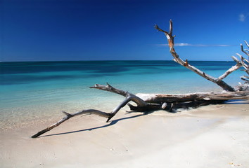 caribic selection cuba v