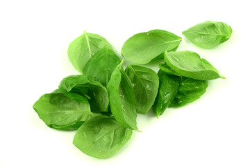 fresh basil