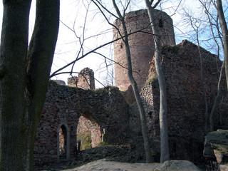 fortress in the forest © Davido