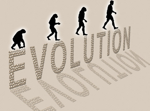 evoluzione