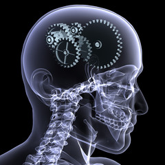 skeleton x-ray - wheels a turning