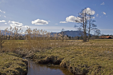 spaziergang im moor