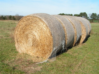 ernte - heuballen