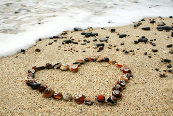 heart of shells