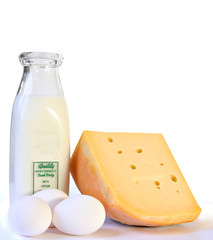 dairy products