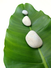 white pebbles on leaf - natural spa