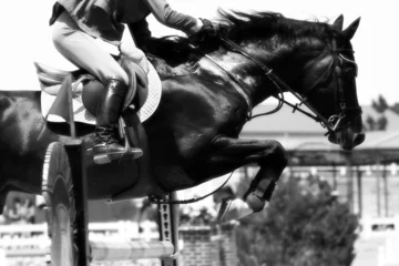 Photo sur Plexiglas Léquitation crossing the hurdle - equestrian theme (b&w)