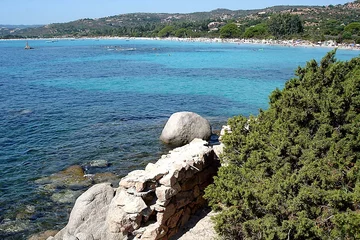 Cercles muraux Plage de Palombaggia, Corse plage corse