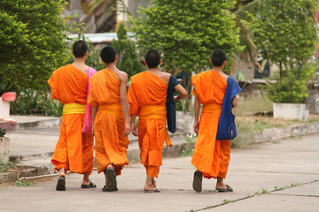 buddhist monks