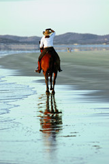 horse and rider on beach - 2856179