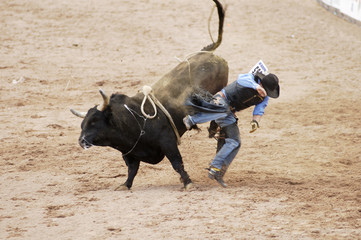bull riding 13