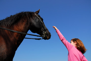 l'enfant et le cheval © cynoclub