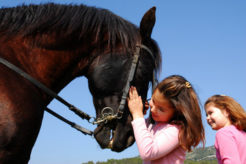 jumelles et cheval © cynoclub