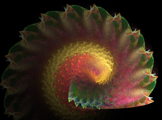 conchiglia frattale © ordus