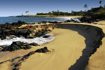 tropical beach molokai