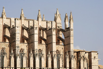 part of palma cathedral