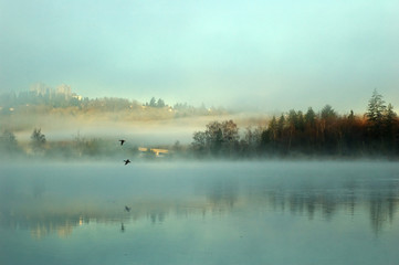 foggy deer lake