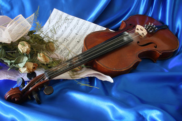 violin and roses