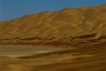liwa brown dunes - 2867143