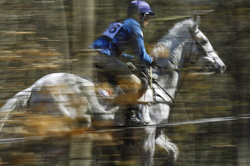concours complet de compi&egrave;gne