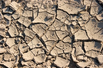 soil