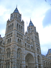 entrance to the natural history museum