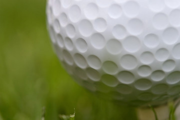 closeup of golfball on a tee